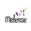 AVENIR MELESSE PETANQUE 1